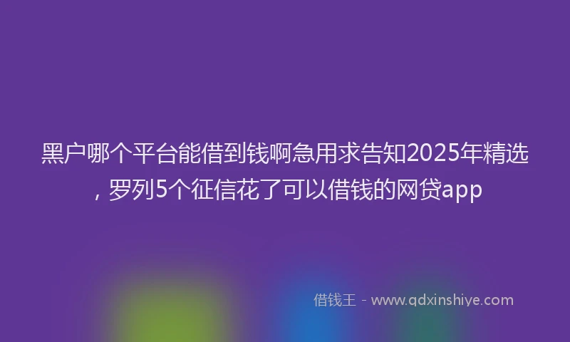 黑户哪个平台能借到钱啊急用求告知2025年精选，罗列5个征信花了可以借钱的网贷app