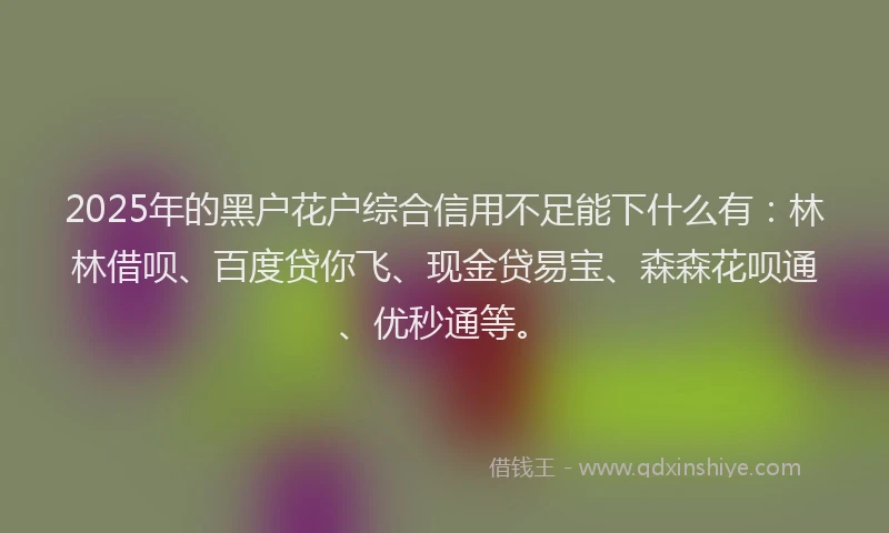 2025年的黑户花户综合信用不足能下什么有：林林借呗、百度贷你飞、现金贷易宝、森森花呗通、优秒通等。