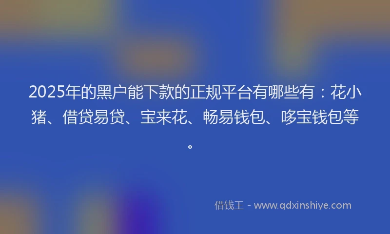 2025年的黑户能下款的正规平台有哪些有：花小猪、借贷易贷、宝来花、畅易钱包、哆宝钱包等。