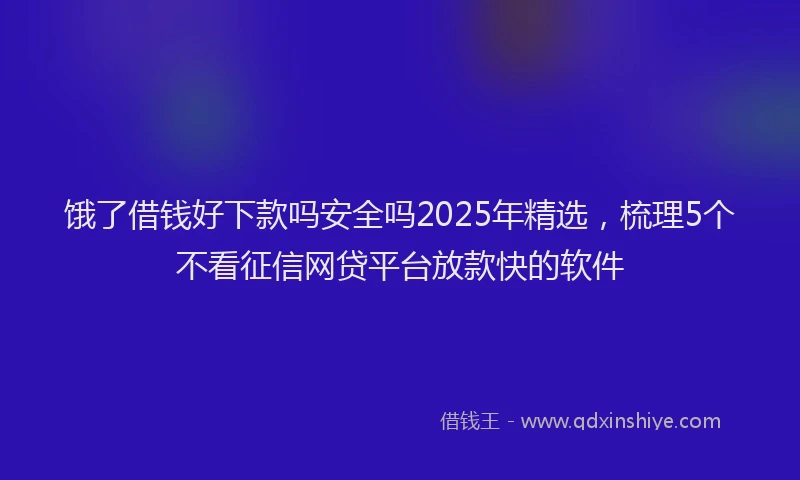 饿了借钱好下款吗安全吗2025年精选，梳理5个不看征信网贷平台放款快的软件