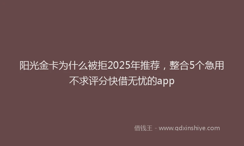 阳光金卡为什么被拒2025年推荐，整合5个急用不求评分快借无忧的app