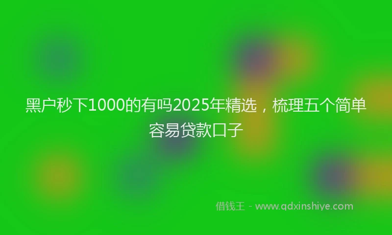黑户秒下1000的有吗2025年精选,梳理五个简单容易贷款口子