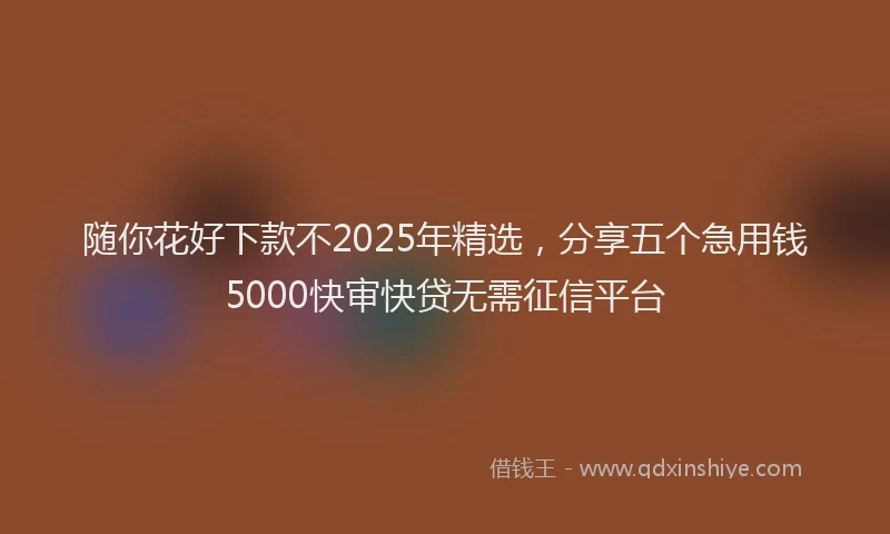 随你花好下款不2025年精选，分享五个急用钱5000快审快贷无需征信平台