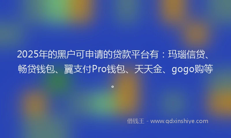 2025年的黑户可申请的贷款平台有：玛瑙信贷、畅贷钱包、翼支付Pro钱包、天天金、gogo购等。