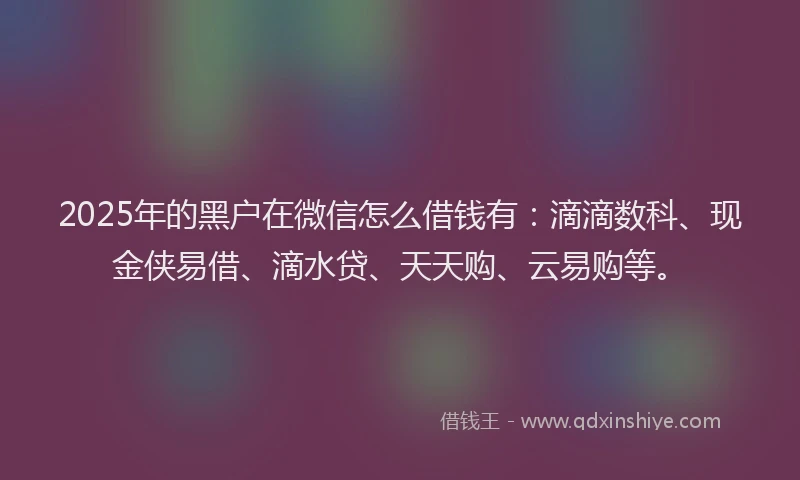 2025年的黑户在微信怎么借钱有：滴滴数科、现金侠易借、滴水贷、天天购、云易购等。