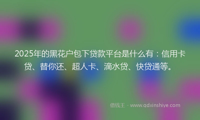 2025年的黑花户包下贷款平台是什么有：信用卡贷、替你还、超人卡、滴水贷、快贷通等。