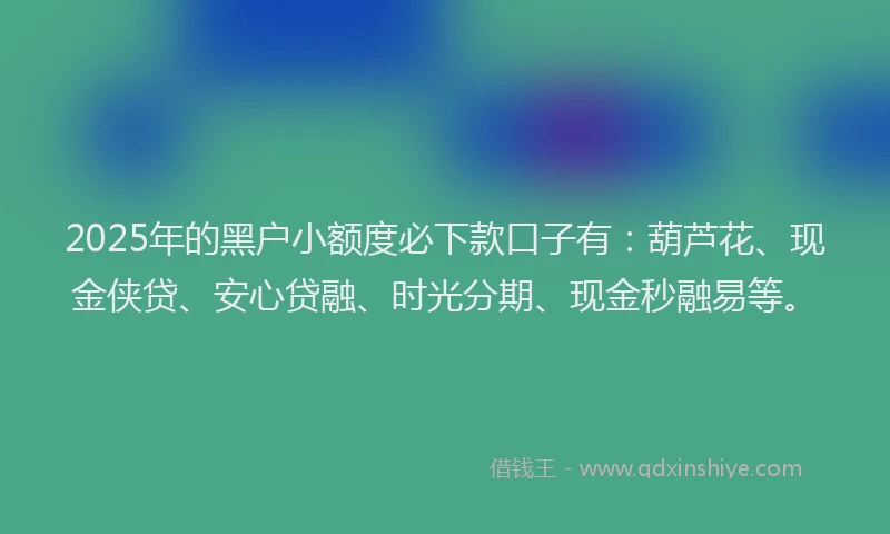 2025年的黑户小额度必下款口子有：葫芦花、现金侠贷、安心贷融、时光分期、现金秒融易等。