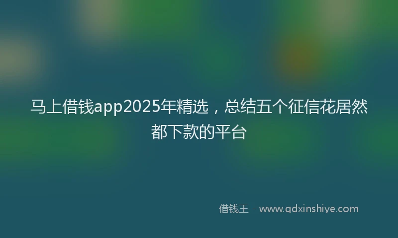 马上借钱app2025年精选，总结五个征信花居然都下款的平台