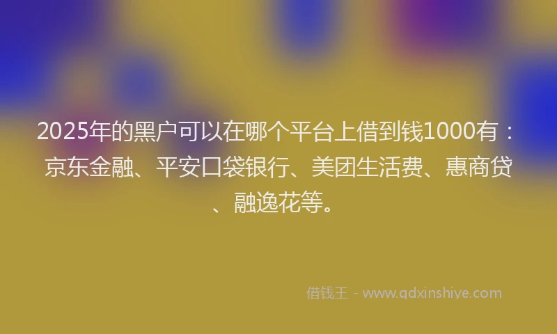 2025年的黑户可以在哪个平台上借到钱1000有：京东金融、平安口袋银行、美团生活费、惠商贷、融逸花等。
