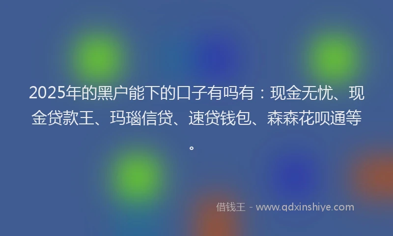 2025年的黑户能下的口子有吗有：现金无忧、现金贷款王、玛瑙信贷、速贷钱包、森森花呗通等。