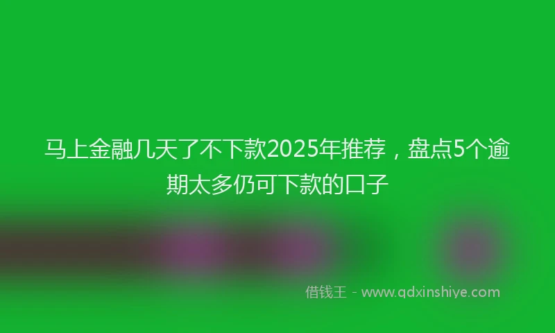 马上金融几天了不下款2025年推荐，盘点5个逾期太多仍可下款的口子