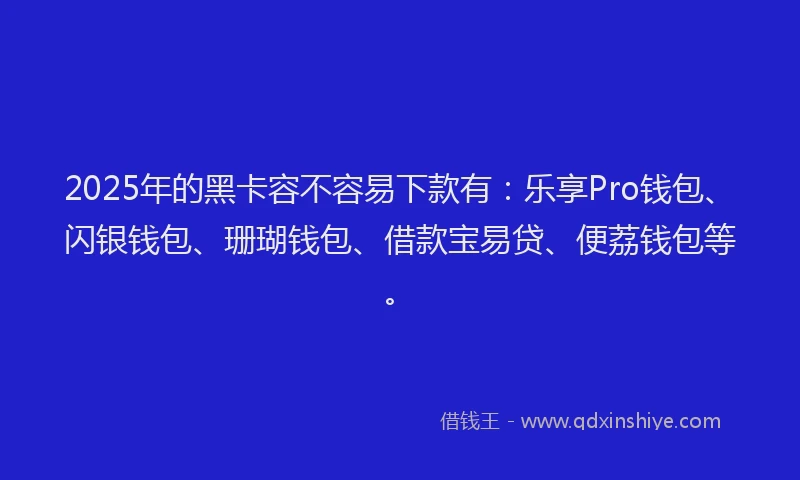 2025年的黑卡容不容易下款有：乐享Pro钱包、闪银钱包、珊瑚钱包、借款宝易贷、便荔钱包等。
