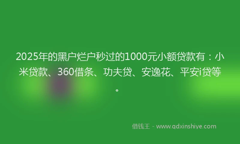 2025年的黑户烂户秒过的1000元小额贷款有：小米贷款、360借条、功夫贷、安逸花、平安i贷等。