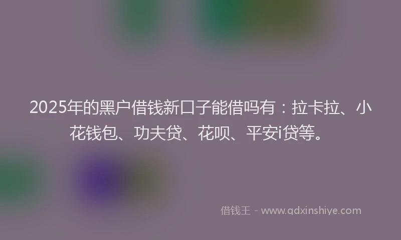 2025年的黑户借钱新口子能借吗有：拉卡拉、小花钱包、功夫贷、花呗、平安i贷等。