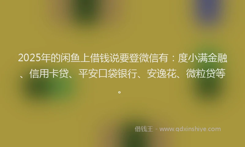 2025年的闲鱼上借钱说要登微信有：度小满金融、信用卡贷、平安口袋银行、安逸花、微粒贷等。