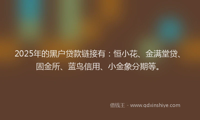 2025年的黑户贷款链接有：恒小花、金满堂贷、固金所、蓝鸟信用、小金象分期等。