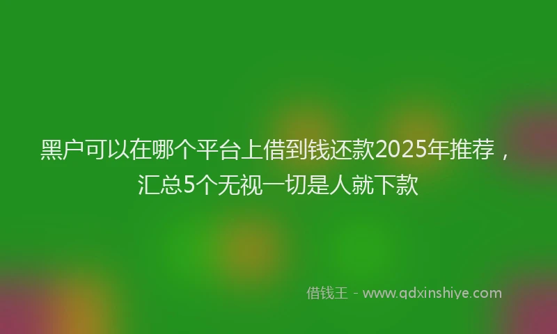 黑户可以在哪个平台上借到钱还款2025年推荐，汇总5个无视一切是人就下款