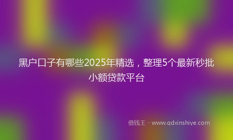 黑户口子有哪些2025年精选，整理5个最新秒批小额贷款平台
