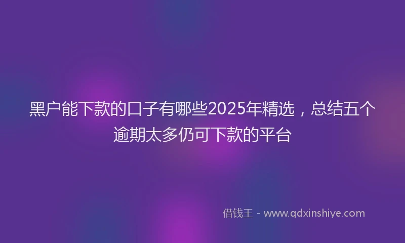 黑户能下款的口子有哪些2025年精选，总结五个逾期太多仍可下款的平台
