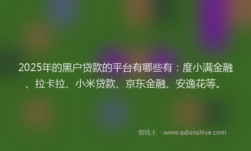 2025年的黑户贷款的平台有哪些有：度小满金融、拉卡拉、小米贷款、京东金融、安逸花等。