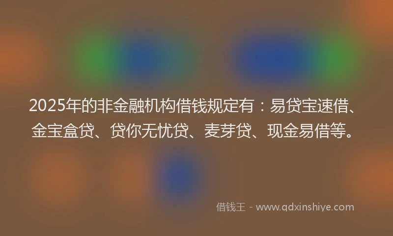 2025年的非金融机构借钱规定有：易贷宝速借、金宝盒贷、贷你无忧贷、麦芽贷、现金易借等。
