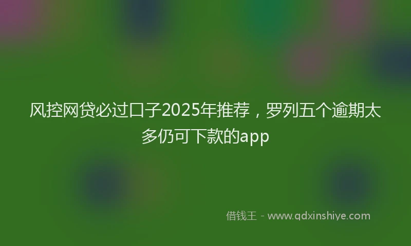 风控网贷必过口子2025年推荐，罗列五个逾期太多仍可下款的app