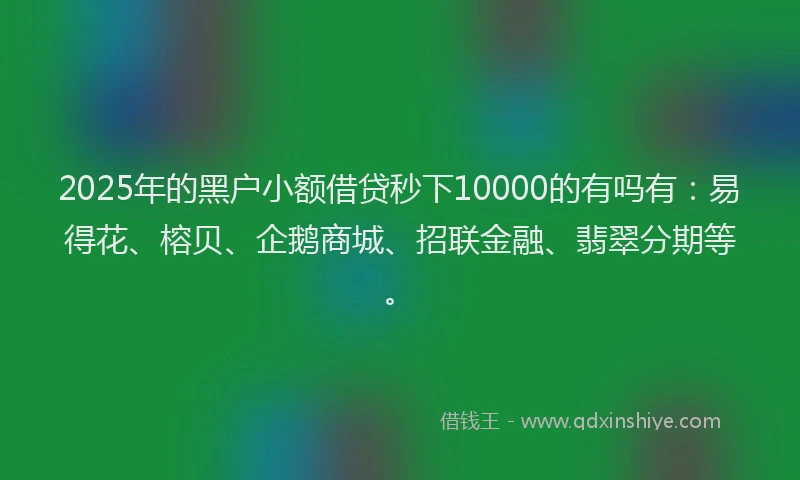 2025年的黑户小额借贷秒下10000的有吗有：易得花、榕贝、企鹅商城、招联金融、翡翠分期等。
