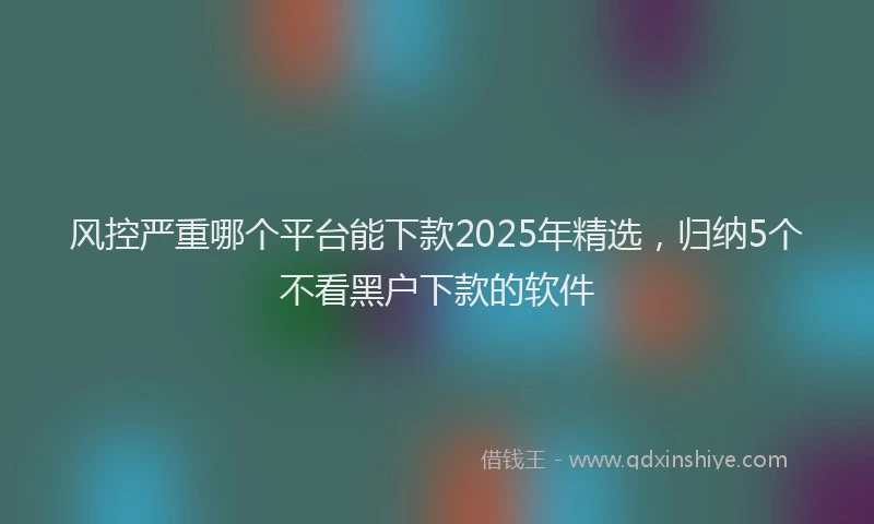 风控严重哪个平台能下款2025年精选，归纳5个不看黑户下款的软件