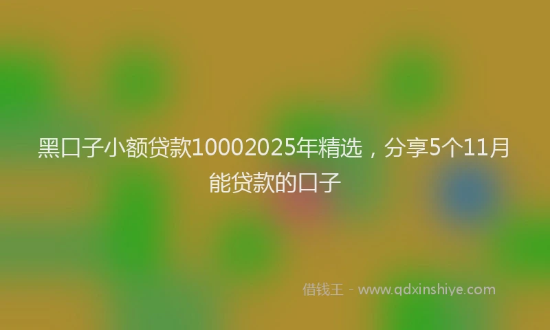 黑口子小额贷款10002025年精选，分享5个11月能贷款的口子