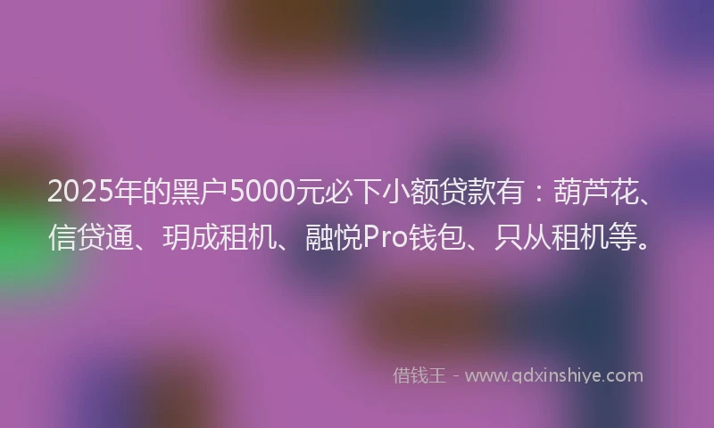 2025年的黑户5000元必下小额贷款有：葫芦花、信贷通、玥成租机、融悦Pro钱包、只从租机等。