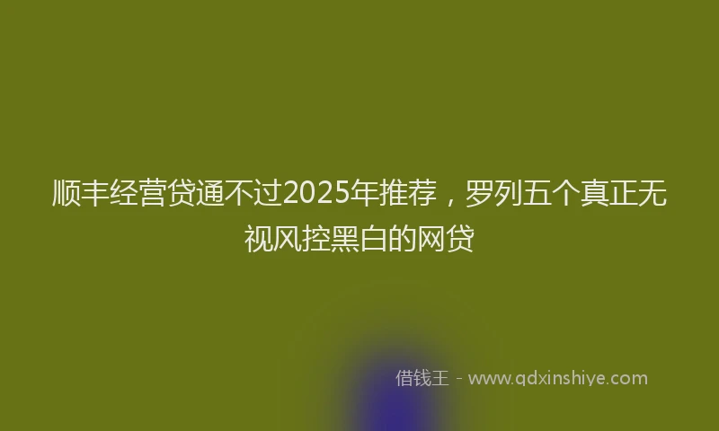 顺丰经营贷通不过2025年推荐，罗列五个真正无视风控黑白的网贷