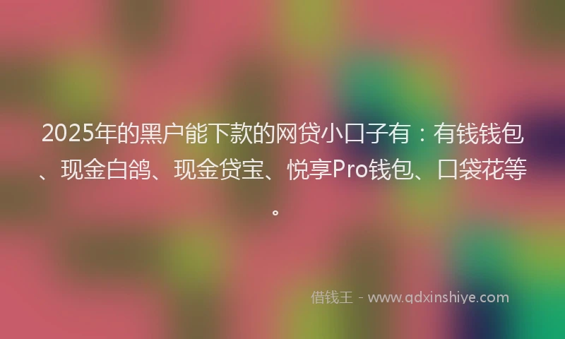 2025年的黑户能下款的网贷小口子有：有钱钱包、现金白鸽、现金贷宝、悦享Pro钱包、口袋花等。