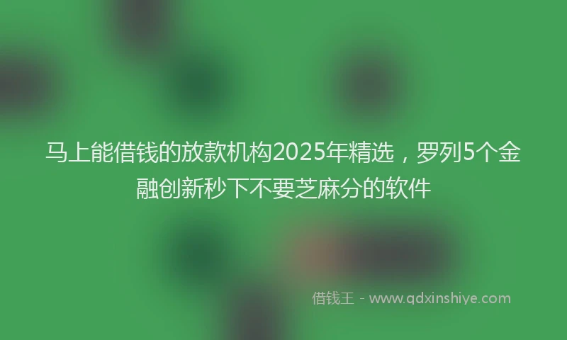 马上能借钱的放款机构2025年精选，罗列5个金融创新秒下不要芝麻分的软件