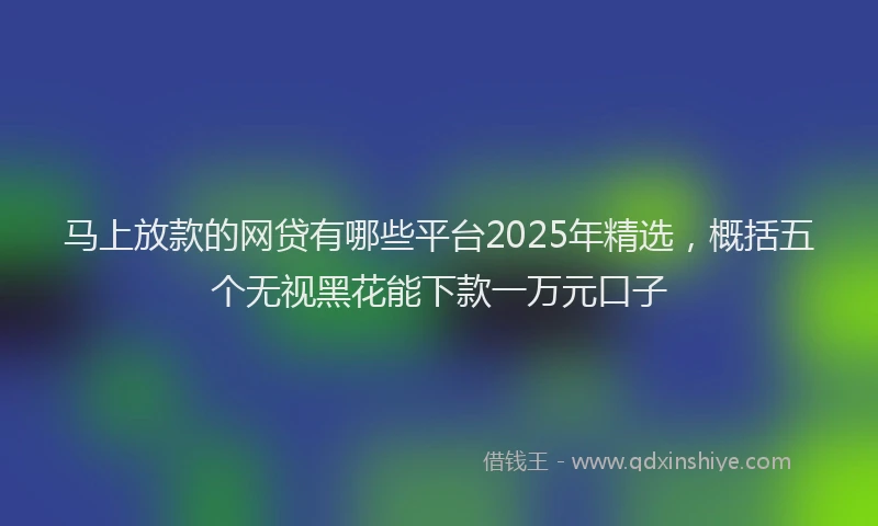 马上放款的网贷有哪些平台2025年精选，概括五个无视黑花能下款一万元口子