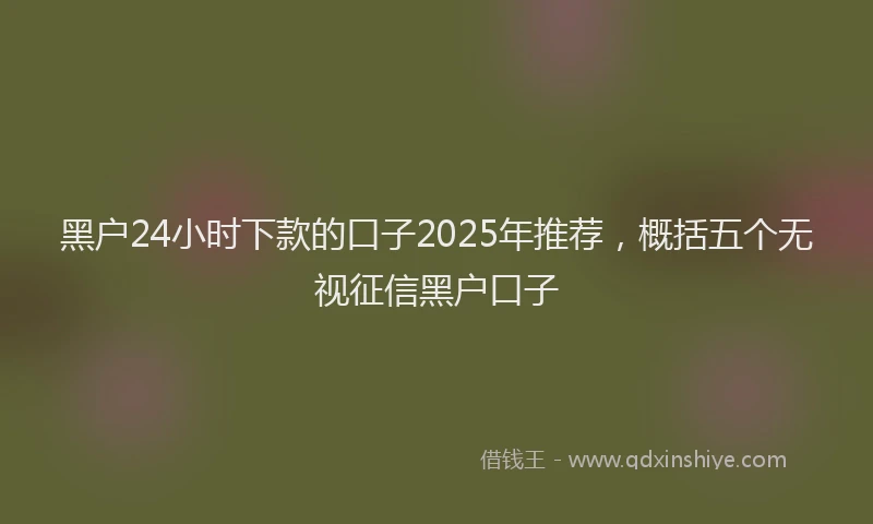 黑户24小时下款的口子2025年推荐，概括五个无视征信黑户口子