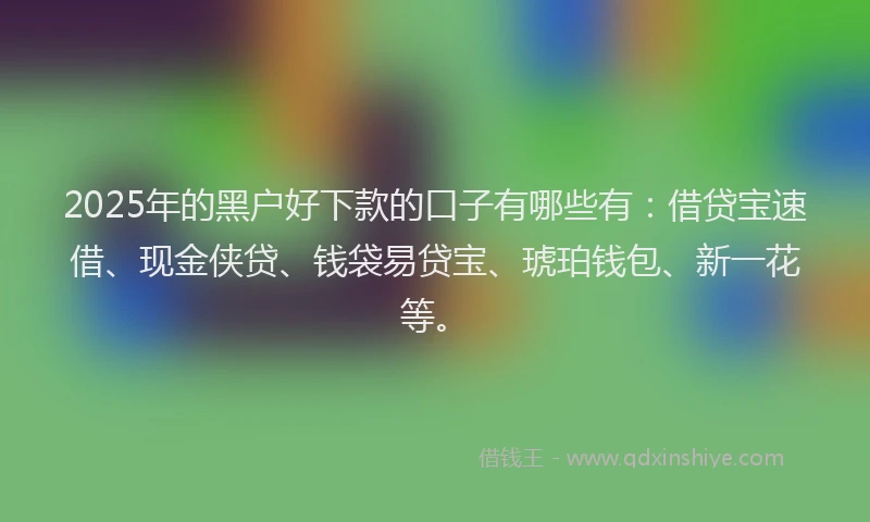 2025年的黑户好下款的口子有哪些有：借贷宝速借、现金侠贷、钱袋易贷宝、琥珀钱包、新一花等。