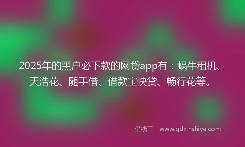 2025年的黑户必下款的网贷app有：蜗牛租机、天浩花、随手借、借款宝快贷、畅行花等。