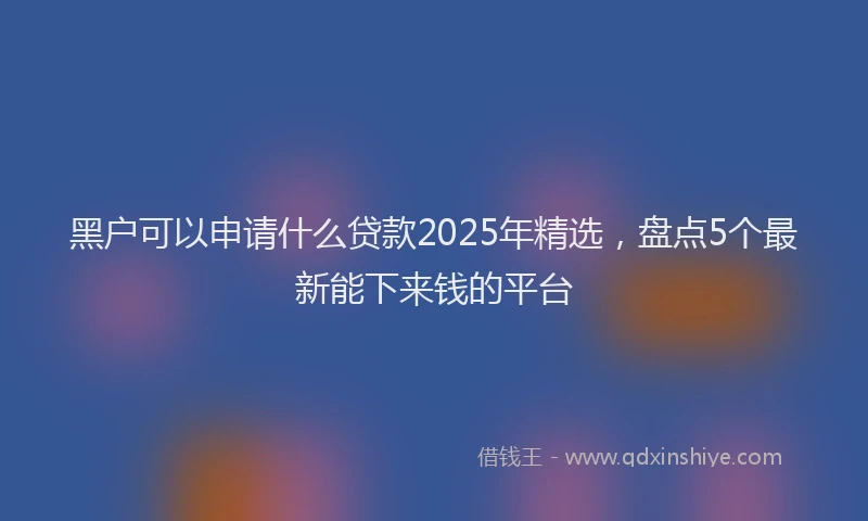 黑户可以申请什么贷款2025年精选，盘点5个最新能下来钱的平台