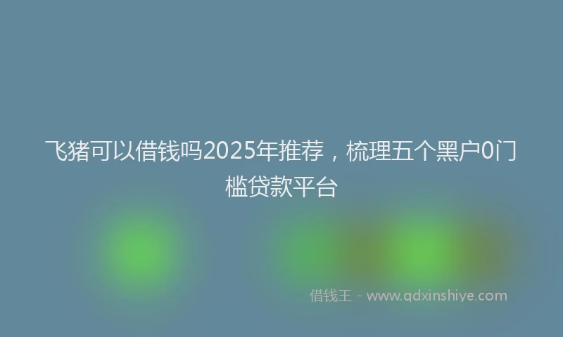 飞猪可以借钱吗2025年推荐，梳理五个黑户0门槛贷款平台