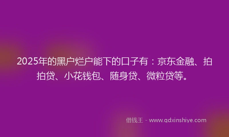 2025年的黑户烂户能下的口子有：京东金融、拍拍贷、小花钱包、随身贷、微粒贷等。