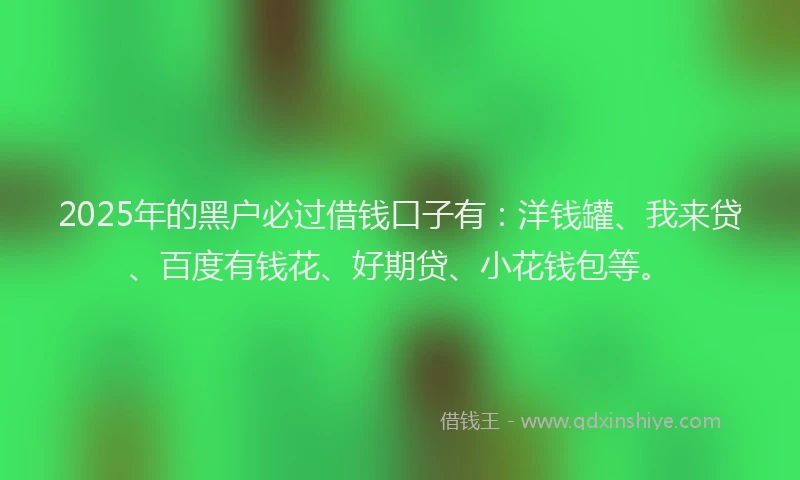 2025年的黑户必过借钱口子有：洋钱罐、我来贷、百度有钱花、好期贷、小花钱包等。