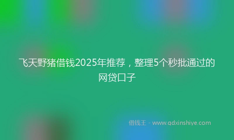 飞天野猪借钱2025年推荐，整理5个秒批通过的网贷口子