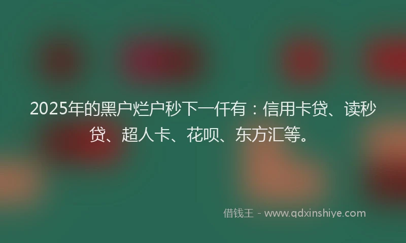 2025年的黑户烂户秒下一仟有：信用卡贷、读秒贷、超人卡、花呗、东方汇等。