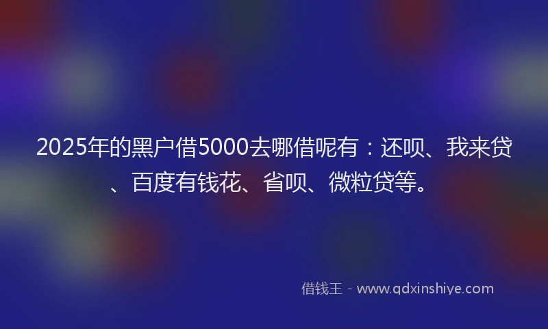 2025年的黑户借5000去哪借呢有：还呗、我来贷、百度有钱花、省呗、微粒贷等。