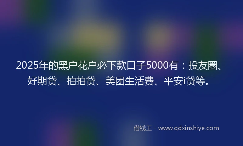 2025年的黑户花户必下款口子5000有：投友圈、好期贷、拍拍贷、美团生活费、平安i贷等。