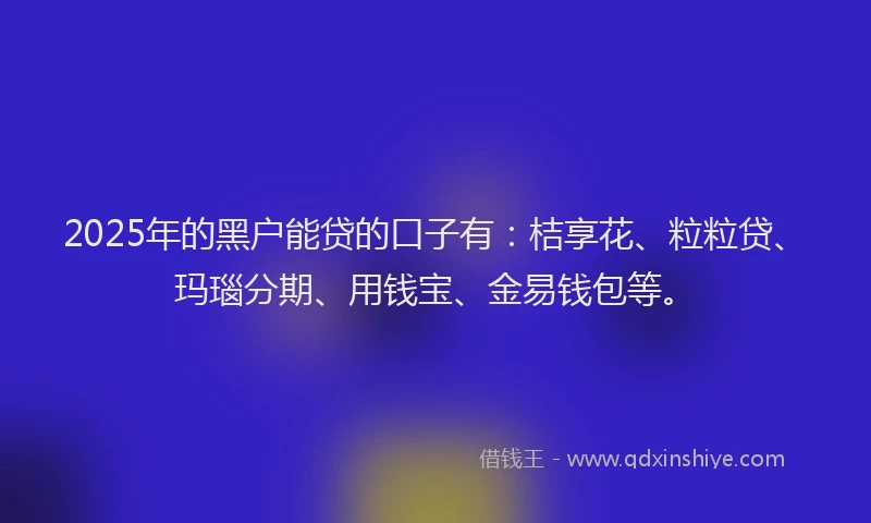 2025年的黑户能贷的口子有：桔享花、粒粒贷、玛瑙分期、用钱宝、金易钱包等。