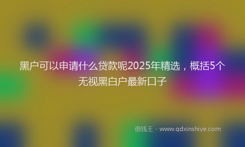黑户可以申请什么贷款呢2025年精选，概括5个无视黑白户最新口子