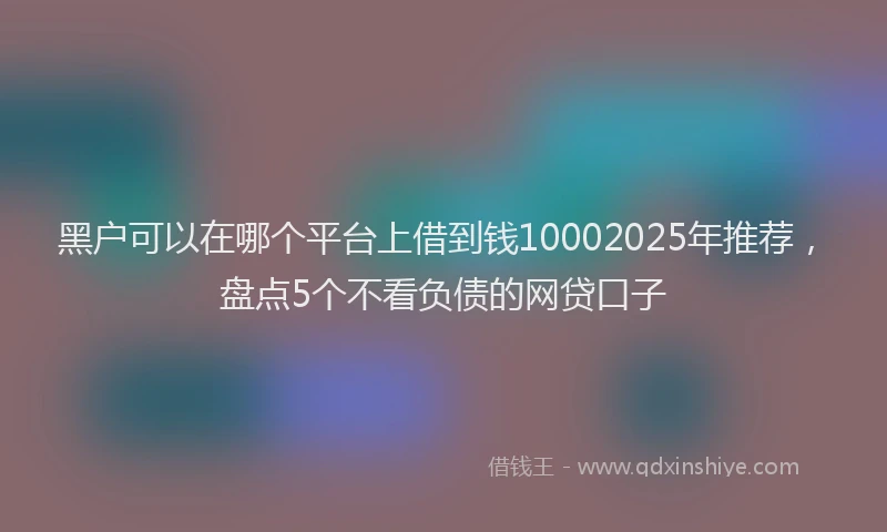 黑户可以在哪个平台上借到钱10002025年推荐，盘点5个不看负债的网贷口子