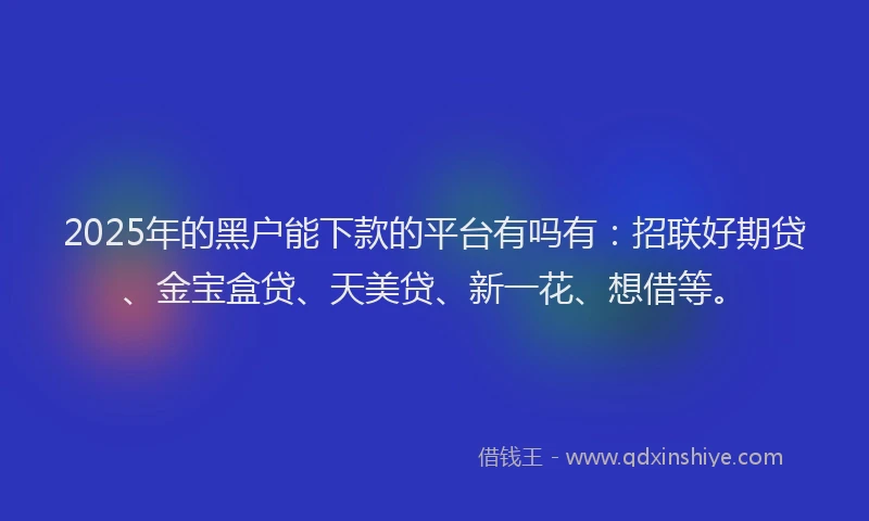 2025年的黑户能下款的平台有吗有：招联好期贷、金宝盒贷、天美贷、新一花、想借等。