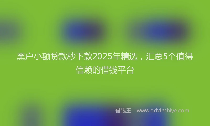 黑户小额贷款秒下款2025年精选，汇总5个值得信赖的借钱平台